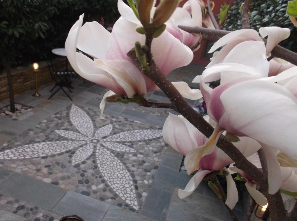 Boutique Hotel Kokkino Spiti 베리아 외부 사진